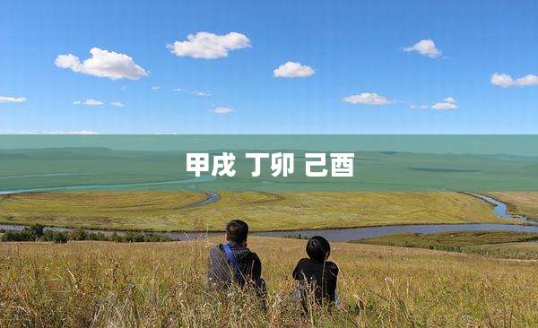 甲戌 丁卯 己酉