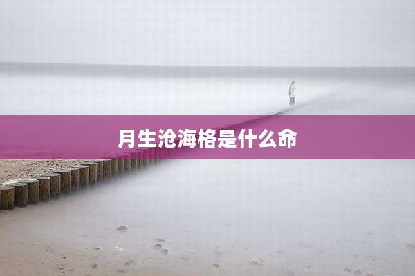 月生沧海格是什么命