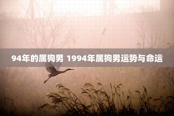 94年的属狗男 1994年属狗男运势与命运