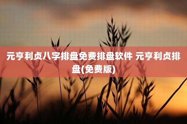 元亨利贞八字排盘免费排盘软件 元亨利贞排盘(免费版)