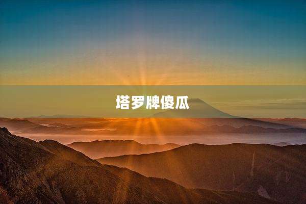 塔罗牌傻瓜