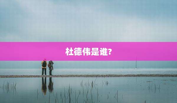 杜德伟是谁?