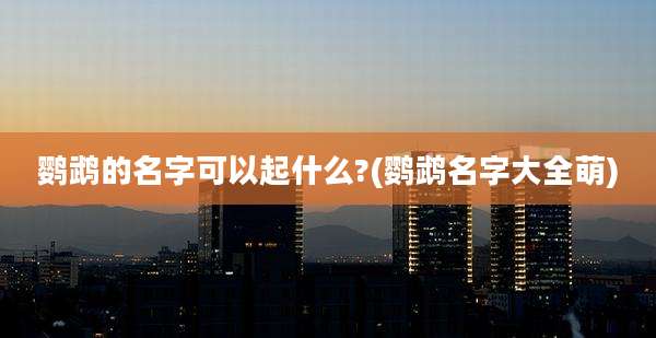 鹦鹉的名字可以起什么?(鹦鹉名字大全萌)