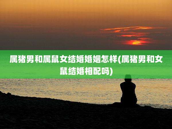 属猪男和属鼠女结婚婚姻怎样(属猪男和女鼠结婚相配吗)