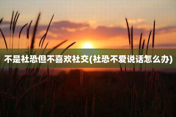 不是社恐但不喜欢社交(社恐不爱说话怎么办)