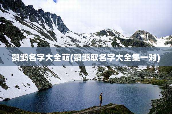 鹦鹉名字大全萌(鹦鹉取名字大全集一对)