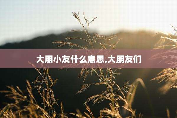 大朋小友什么意思,大朋友们