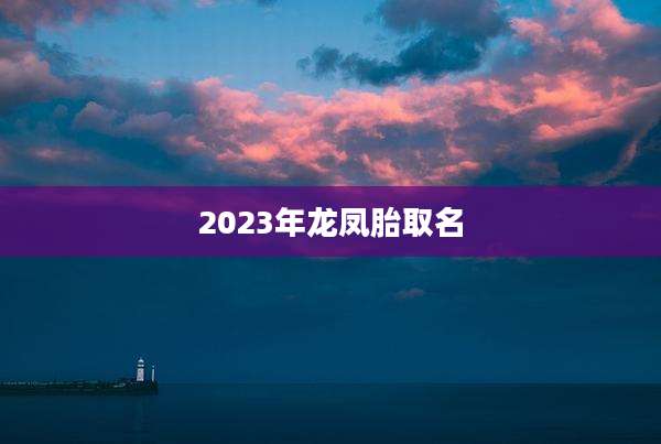 2023年龙凤胎取名