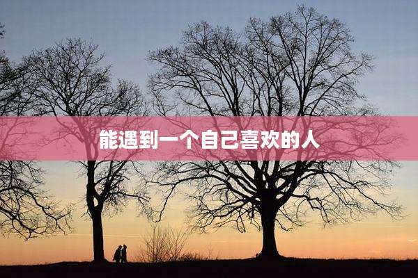 能遇到一个自己喜欢的人