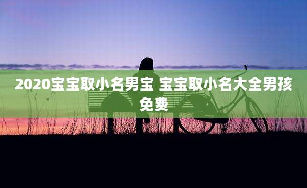 2020宝宝取小名男宝 宝宝取小名大全男孩免费