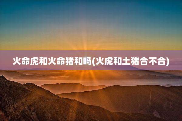 火命虎和火命猪和吗(火虎和土猪合不合)