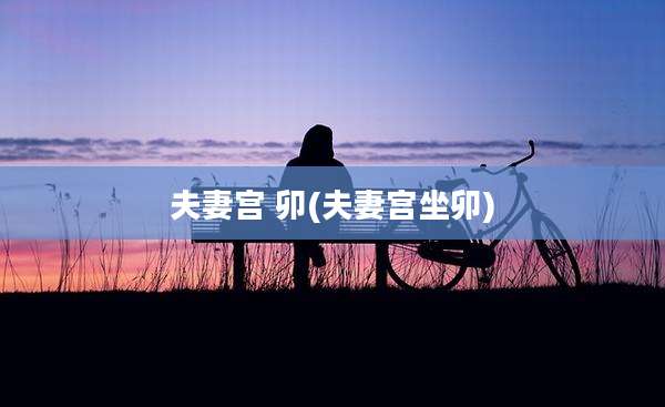 夫妻宫 卯(夫妻宫坐卯)