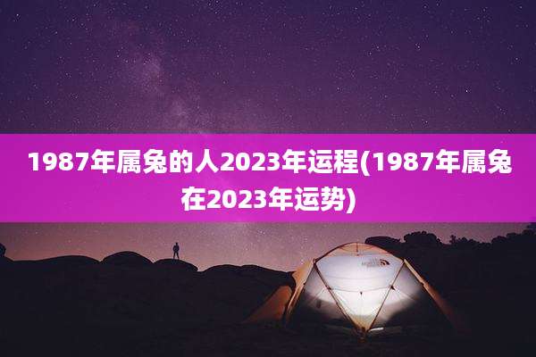 1987年属兔的人2023年运程(1987年属兔在2023年运势)
