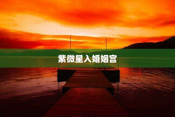 紫微星入婚姻宫
