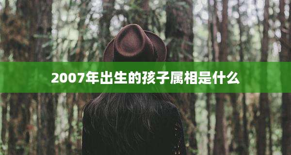 2007年出生的孩子属相是什么