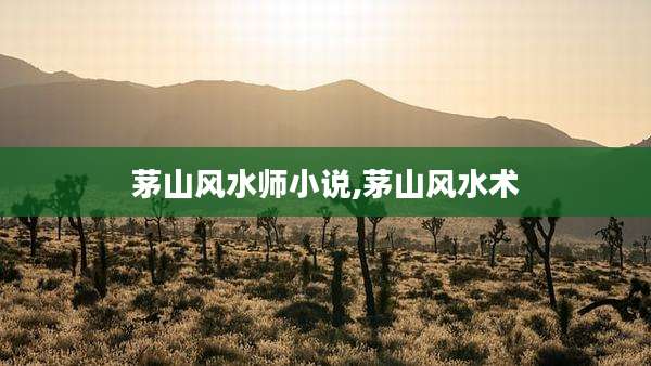 茅山风水师小说,茅山风水术