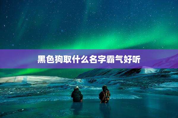 黑色狗取什么名字霸气好听