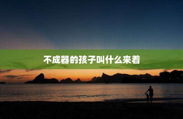 不成器的孩子叫什么来着
