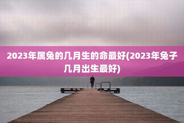 2023年属兔的几月生的命最好(2023年兔子几月出生最好)