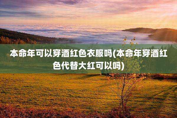 本命年可以穿酒红色衣服吗(本命年穿酒红色代替大红可以吗)