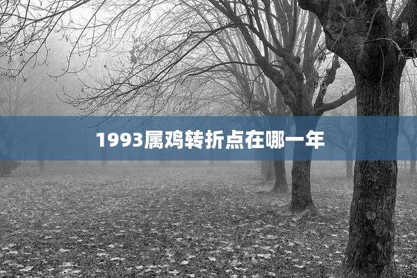 1993属鸡转折点在哪一年