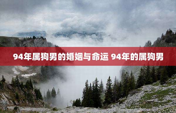 94年属狗男的婚姻与命运 94年的属狗男