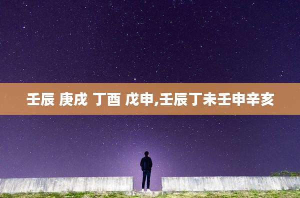 壬辰 庚戌 丁酉 戊申,壬辰丁未壬申辛亥