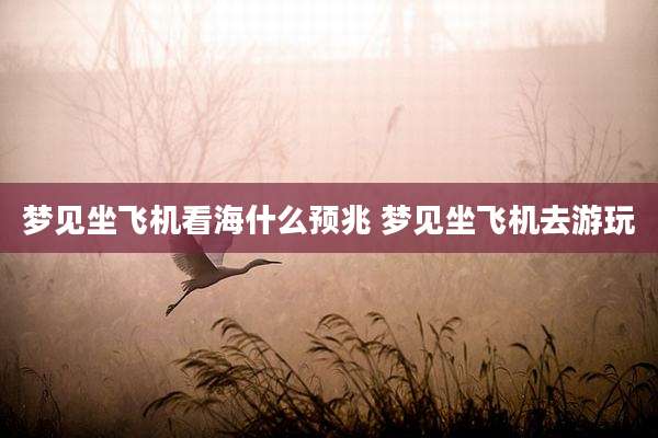 梦见坐飞机看海什么预兆 梦见坐飞机去游玩