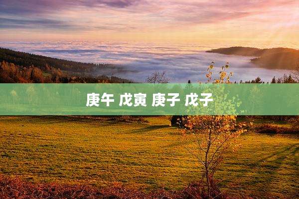 庚午 戊寅 庚子 戊子