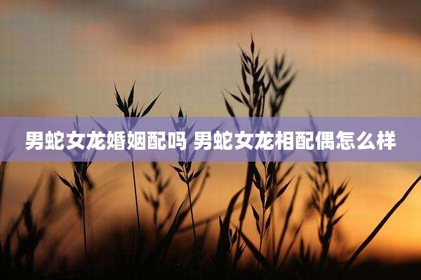 男蛇女龙婚姻配吗 男蛇女龙相配偶怎么样