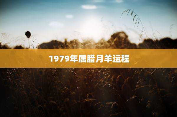 1979年属腊月羊运程
