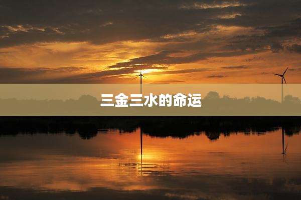 三金三水的命运