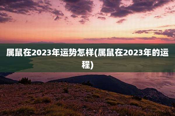 属鼠在2023年运势怎样(属鼠在2023年的运程)