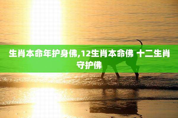 生肖本命年护身佛,12生肖本命佛 十二生肖守护佛