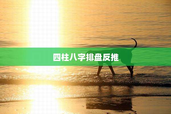 四柱八字排盘反推