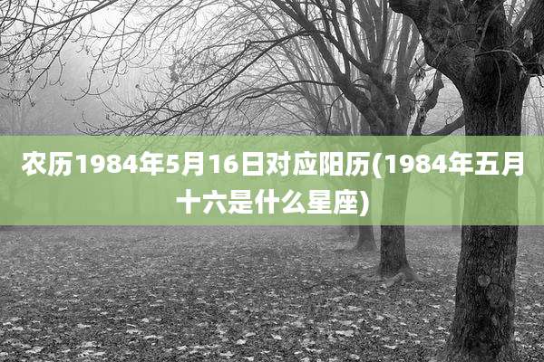农历1984年5月16日对应阳历(1984年五月十六是什么星座)