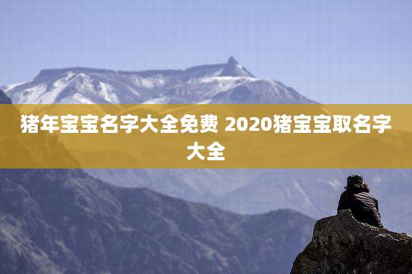 猪年宝宝名字大全免费 2020猪宝宝取名字大全