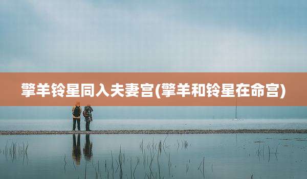 擎羊铃星同入夫妻宫(擎羊和铃星在命宫)