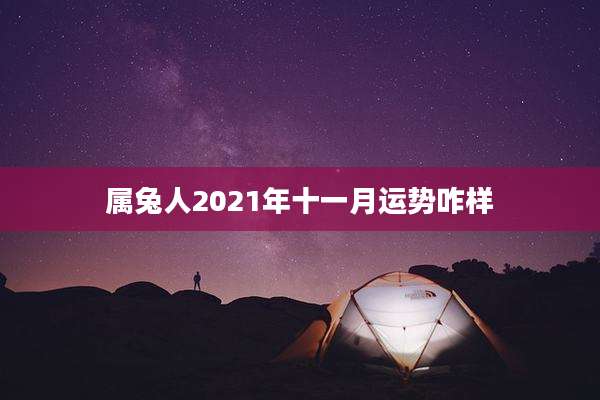属兔人2021年十一月运势咋样