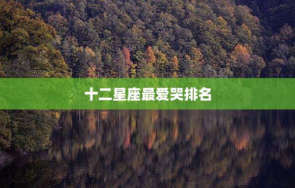 十二星座最爱哭排名