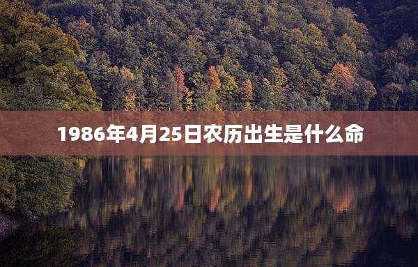 1986年4月25日农历出生是什么命