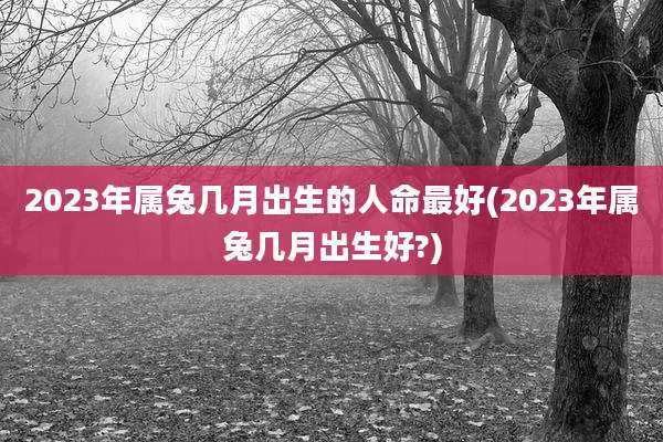2023年属兔几月出生的人命最好(2023年属兔几月出生好?)
