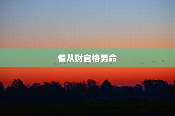 假从财官格男命