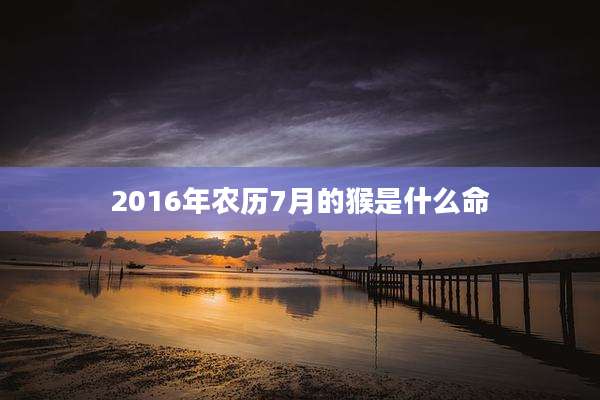 2016年农历7月的猴是什么命
