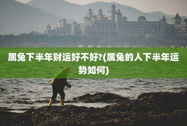 属兔下半年财运好不好?(属兔的人下半年运势如何)