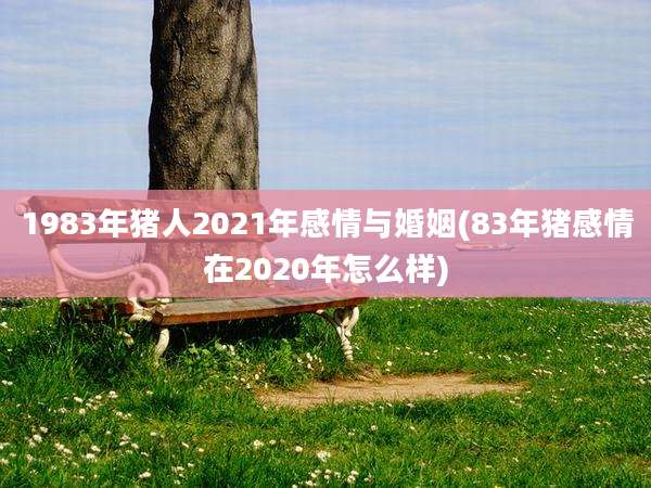 1983年猪人2021年感情与婚姻(83年猪感情在2020年怎么样)