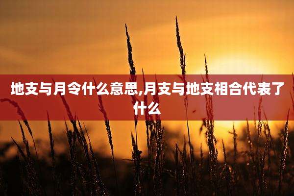 地支与月令什么意思,月支与地支相合代表了什么