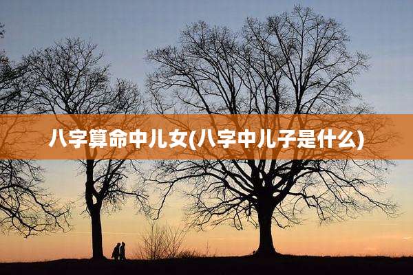 八字算命中儿女(八字中儿子是什么)