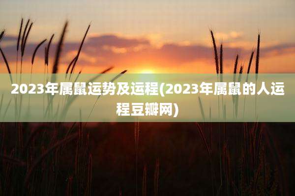 2023年属鼠运势及运程(2023年属鼠的人运程豆瓣网)