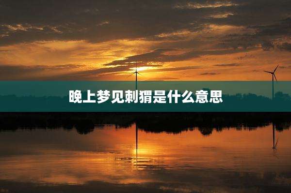 晚上梦见刺猬是什么意思